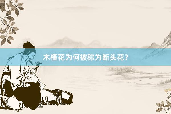 木槿花为何被称为断头花？